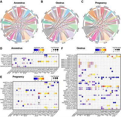 Dynamic changes in cellular atlases and communication patterns within yak ovaries across diverse reproductive states unveiled by single-cell analysis